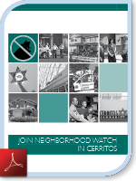 Neighborhood Watch Brochure (PDF)